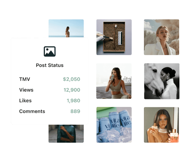 A collage of eight lifestyle and product images surrounding a stats card showing TMV, views, likes, and comments.